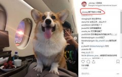 ��˼��ɹ�³衰�»����ǻ�����ʵ������Ů��������������