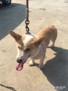 �ϴ�ү�Ŀ»�Ȯ������û������ȥ