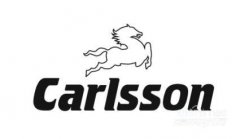 ��ҹ����Carlsson�����ִ�Ʒ�ƴ��в�������
