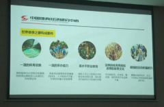 中国体育政策研究院院长鲍明晓: 打造国际赛事名城未必一开始就