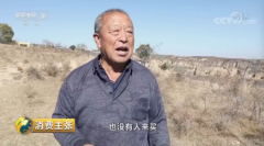 �Ż����ӵ��޵��������̷�ƶ������ʲô���ģ������֣���Ѫ