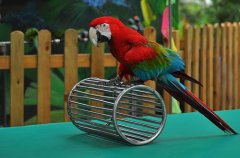 �㽭������С��Ϸ�������޼۸���ҵ���