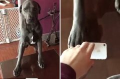 ʳ�ô׶�ͷ���ĺô�����Щ��ʳ��ϴͷ��ͷ��������