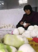 ��Ȫ�����̽�ũ��������ƶ����������