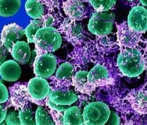 �������������ô���ϵģ��������������