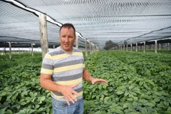 �󶹳�����ó��ս������ꡱ�վ��ƶ������ջ������������г�