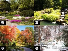 ����Ȼ�Ĺ�����ֲ������������ܳ��ʣ�