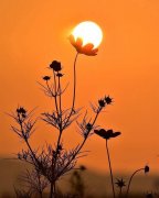 ���úò��ÿ������΢��ͷ���֪����