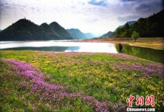 “交通+电商”打造安居增收新引擎湖南桃江农村焕新颜