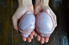 ����������Ľ���רΪغ����ٰ컹�����˹������ο�ȥ�μ�