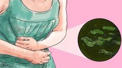 ���������롿��Ⱦ�����ݸ˾�=�Ỽθ����-�»���