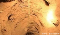 �ȵ�Ĺ���ɳܺͱ�������ҵ����˵������Ĺ�ĲƱ�Ҳ�Ȳ�����