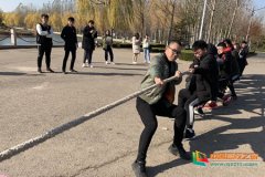 ɽ���Ƽ�ְҵѧԺ������ýϵ�ɹ��ٰ�κӱ���