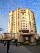 胜高酒店“参股”发展新模式项目落地,加速粤港澳大湾区业务布局