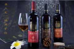 三伏天|每天喝点这个 健康就是这么简单