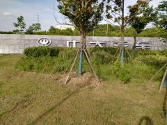 盐城中大集团涉嫌通过虚假破产避债引质疑