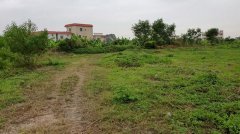 奇葩!男子竞拍土地后发现土地不在管理人指定位置